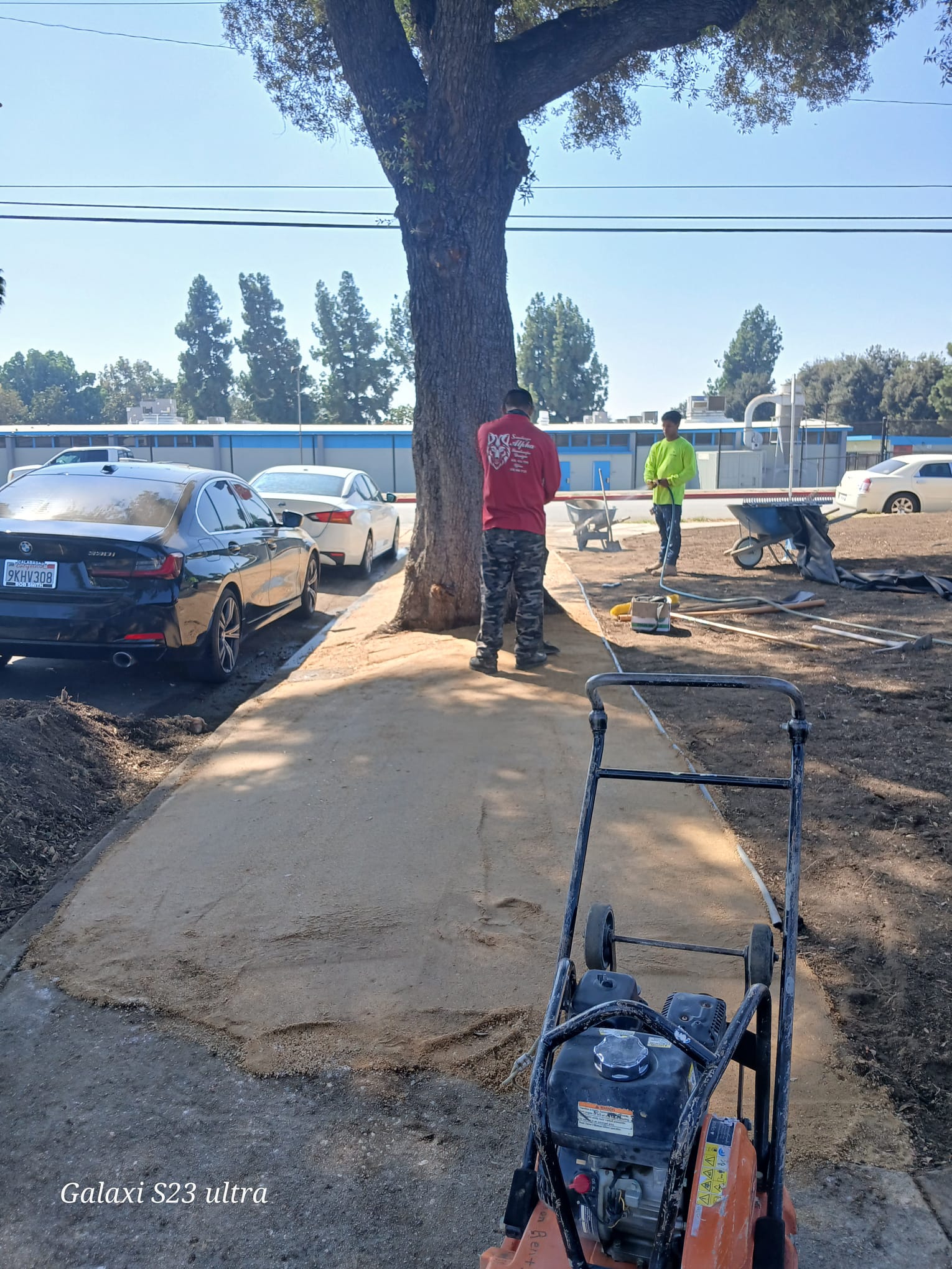 Para Artificial Grass
